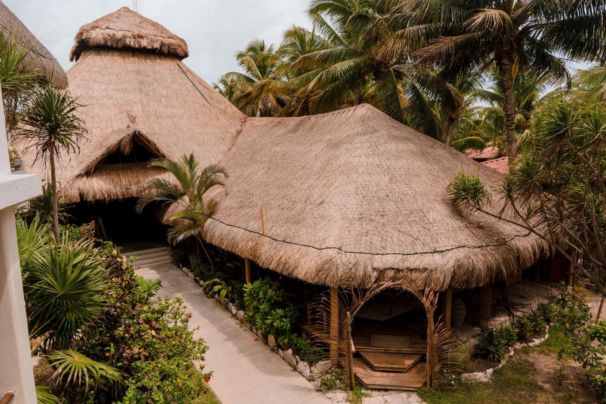 Petit Lafitte Beach Front Hotel & Bungalows Плайя-дель-Кармен Екстер'єр фото